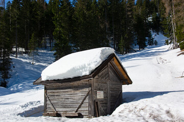 la primavera in alta montagna