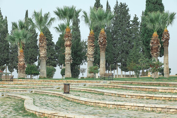 Recreation area with palms and benches in ancient city of Hierapolis in Denizli Turkey.