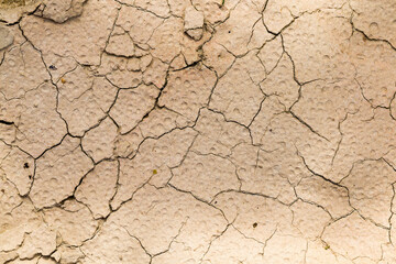 cracked soil in agricultural field