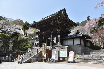 春の長谷寺 仁王門 奈良県桜井市