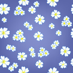 set of wild flowers, seamless pattern, vector drawing, blue color background