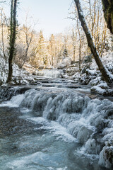 river in the forest