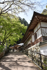 春の長谷寺　御供所　奈良県桜井市