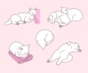 Various funny poses of a white cat. hand drawn style vector design illustrations. 