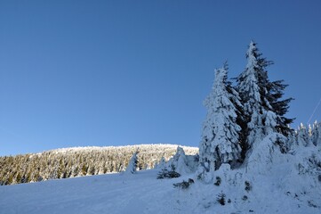 Winter am &Ouml;tscher