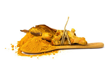 Turmeric powder in a wooden spoon and dried turmeric isolated on white background