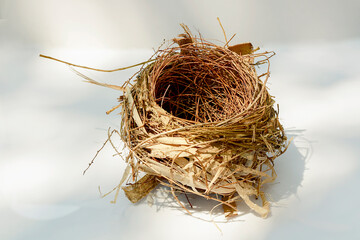 The bird's nest is laid bare and old abandoned on a white background, and there is a text area.