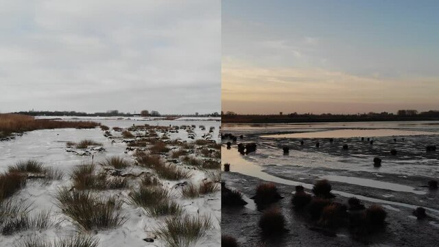 During And After WInter - One Week Difference At Nature Reserve Of Crezeepolder With Cordgrass In Hendrik-Ido-Ambacht, Netherlands. - aerial