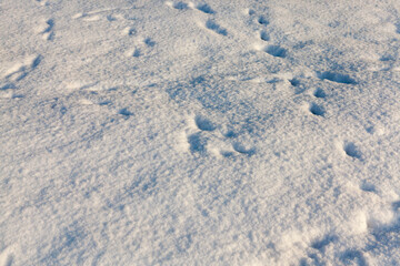 soft but frozen snow that fell during the snowfall