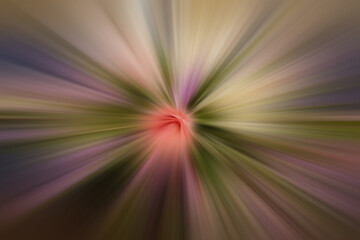 textured white rose flowers and green radial blur background, technology, template, speed, background, copy space