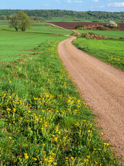 Fototapeta na wymiar Winding dirt road in the countryside