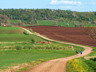 Winding country road in a rural landscape