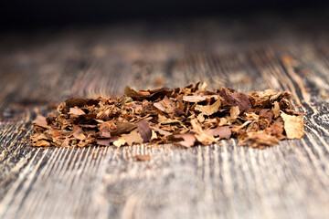 tobacco from cigarettes causing nicotine addiction, close up