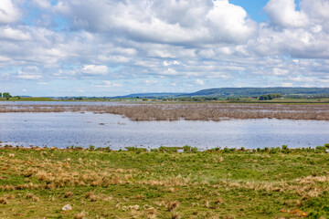 View of a lake in the countryside from a beach meadow