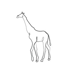 Giraffe continuous line drawing, small tattoo, print for clothes and logo design, emblem or logo design, silhouette one single line on a white background, isolated vector illustration.