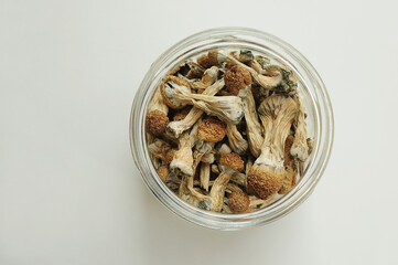 Dry psilocybin mushrooms in glass jar on white background. Psychedelic, mind-blowing, magic mushroom. Medical usage, wellbeing. Microdosing concept.