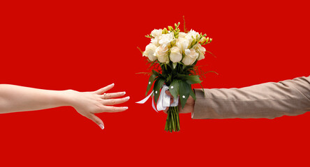 The groom at the wedding gives the bride with a manicure a french wedding bouquet of white roses with a white ribbon on a red wall background. Only hands close-up, without faces.