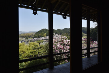 Fototapeta premium 聖林寺 本堂からの景色 奈良県桜井市