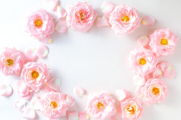 Fototapeta na wymiar frame of flowers, blooming pink roses
