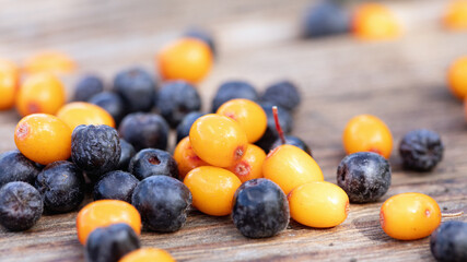 Close-up of scattered fresh sea buckthorn berries and chokeberry on wooden table. Garden gifts. Handful of berries gathered. Selective focus.
