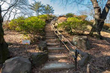 東京都新宿区戸山公園の箱根山