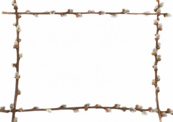 Pussy willow blossom twig. Easter decoration frame isolated on white background