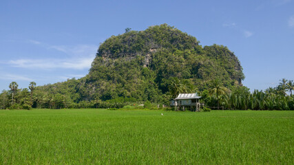 Obraz premium Beautiful rural panorama of rice field and karst mountain in Rammang-Rammang, South Sulawesi, Indonesia