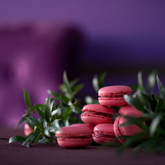 Macaroons French dessert. Pyramid of pink pastries Sweets among of greenery on purple blurred background. Bright colors Blank or template for banner or greeting card. Copy space. Soft focus. 