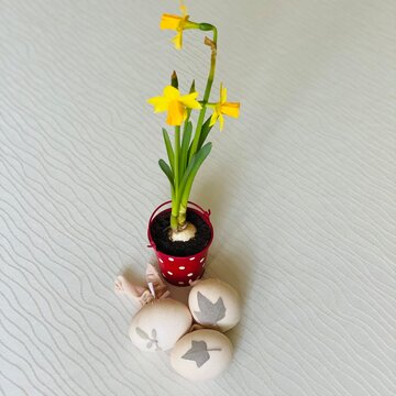 bouquet of tulips in vase