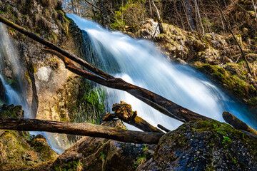 Fototapety na wymiar - Fototapeta24.pl