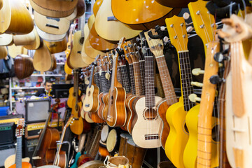 Turkey. Istanbul. A musical instrument store. Trade in musical instruments on Galip Dede Street.