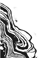 Abstract Vector Backgroung Jupiter Surface. Hand Drawn Marbel Pattern. Fashion Illustration Black and White Liquid Fluid Paint Ink