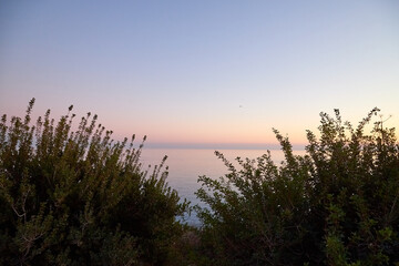View on water of sea and yellow sunset on horizon through branch, leaves and grass on top place
