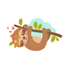 Baby sloth hanging on a branch. Vector illustration.
