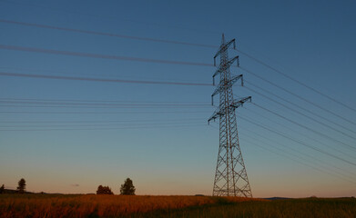 Large Electricity pylon also overhead line pylon stands in the plant field, in the background there...