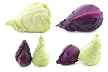 a red and a green pointed cabbage on a white background
