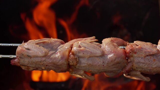 Close-up of raw quails on the skewer placed above the open fire outdoors