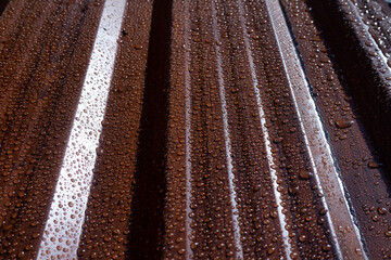 Raindrops on the metal profile sheet. Brown profiled metal sheet with dew drops.