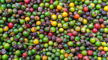 natural color shades of pepper