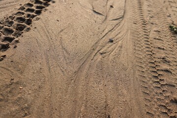 tire tracks in sand