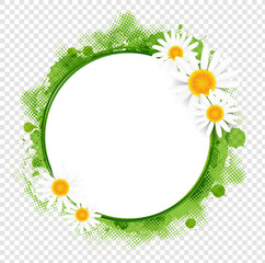 Banner With Spring Flowers Camomiles White Background With Gradient Mesh, Vector Illustration