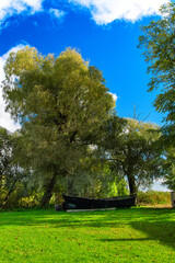 old boat under a tree