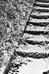 Snow Landscape with Stone Steps