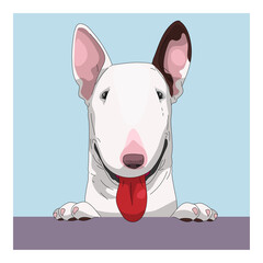 Dog Bull Terrier with smiling face minimal drawing style - 424708475