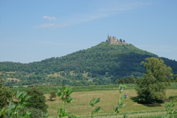 Popular Hohen Zollern castle on a green hill with many trees, corn field and meadow in the foreground, blue sky. Copy Space. Europe, Germany.