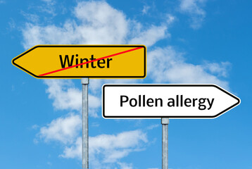 Winter / Pollen allergy Schild mit blauen Himmel