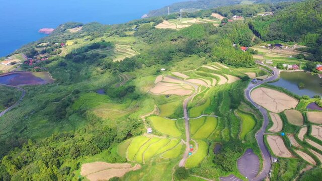 東後畑棚田ドローン空撮