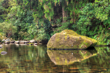 A giant mossy boulder in a New Zealand forest river 