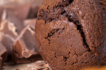 pieces of large natural real chocolate and chocolate cake