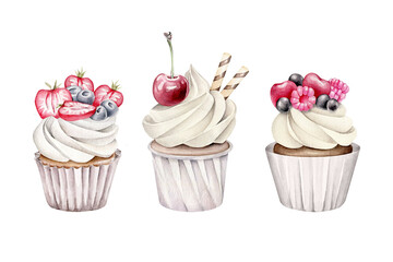cupcake with berries.watercolor cake